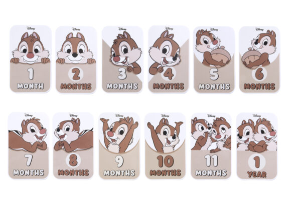 Baby cards Disney Chip N Dale "I miei primi 12 mesi"